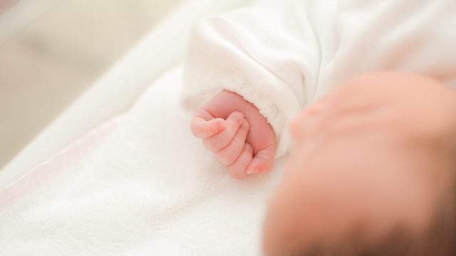 妊娠から出産までの赤ちゃんの成長 Niptならdna先端医療株式会社