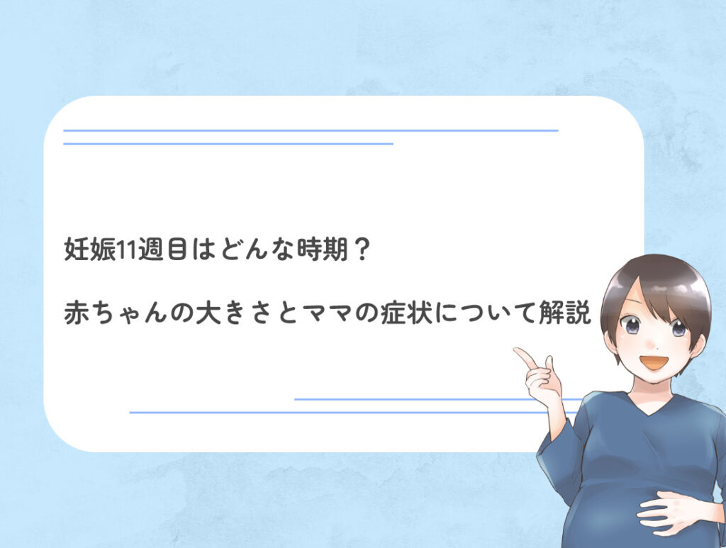 妊娠12週目のお腹の大きさは？赤ちゃんの様子やママの状態について解説 | DNA先端医療