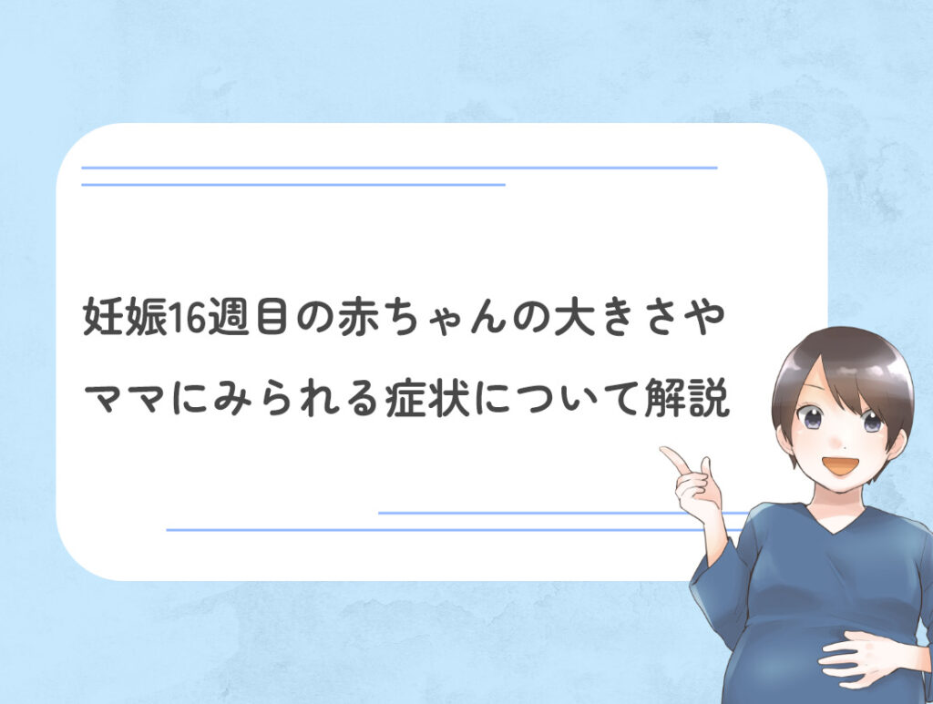 妊娠15週目の赤ちゃんの状態とママの症状について解説 | DNA先端医療