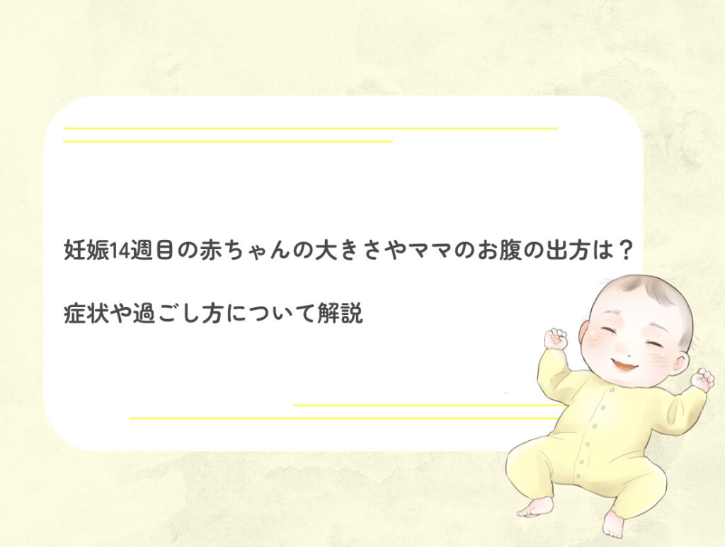 妊娠15週目の赤ちゃんの状態とママの症状について解説 | DNA先端医療