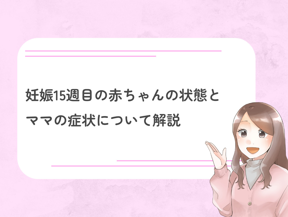 妊娠15週目の赤ちゃんの状態とママの症状について解説 | DNA先端医療