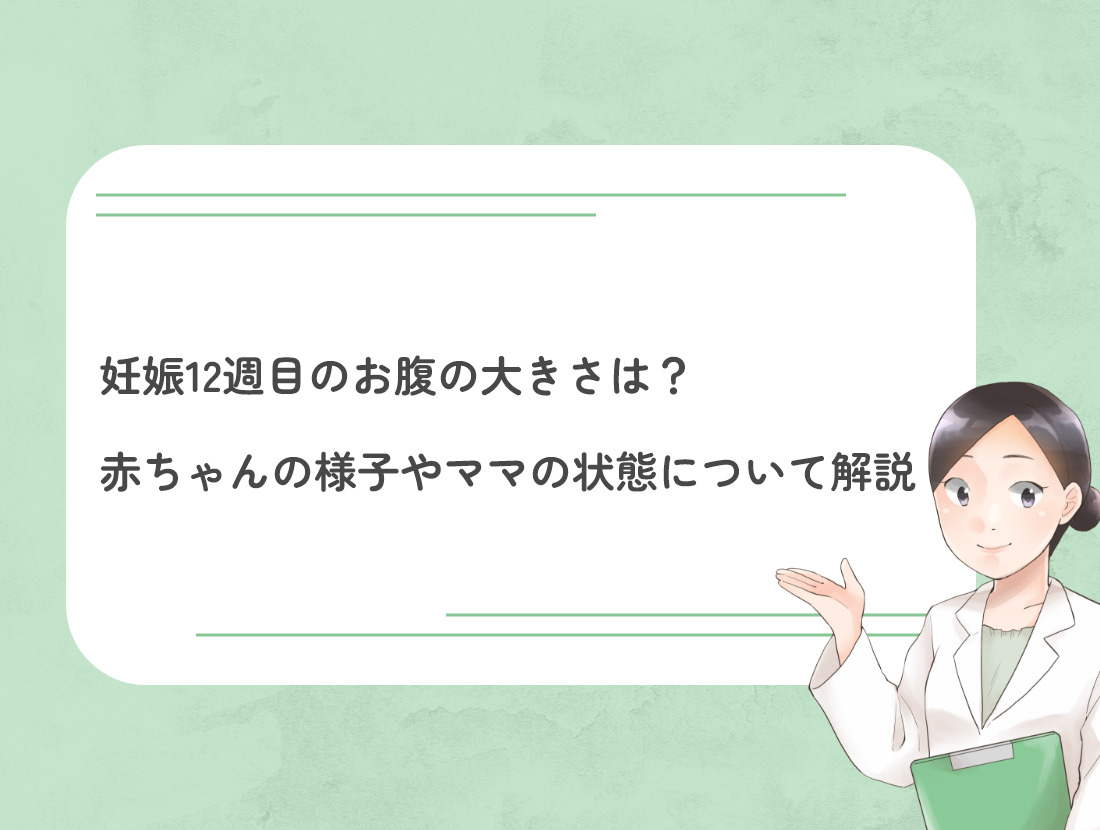 妊娠12週目のお腹の大きさは？赤ちゃんの様子やママの状態について解説 | DNA先端医療